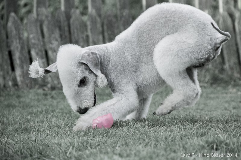 2014-03-14 Svet-8076-2.jpg